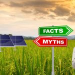 Myths and Facts About Solar Panels.